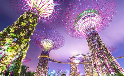 新加坡花园